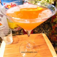 Bikini Martini