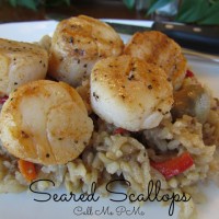 Seared Scallops / Call Me PMc
