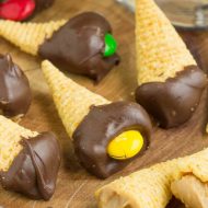 BUGLE BITES