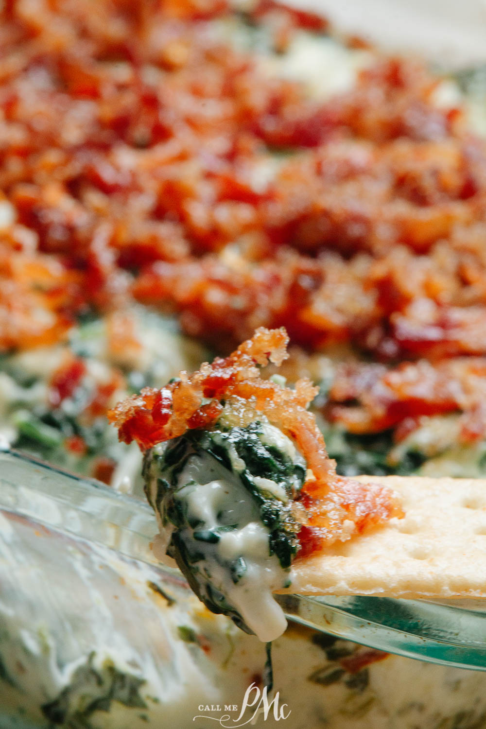 Hot Bacon Spinach Dip Recipe