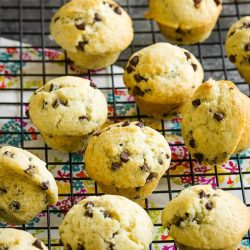 Homemade muffins with chocolate Chips