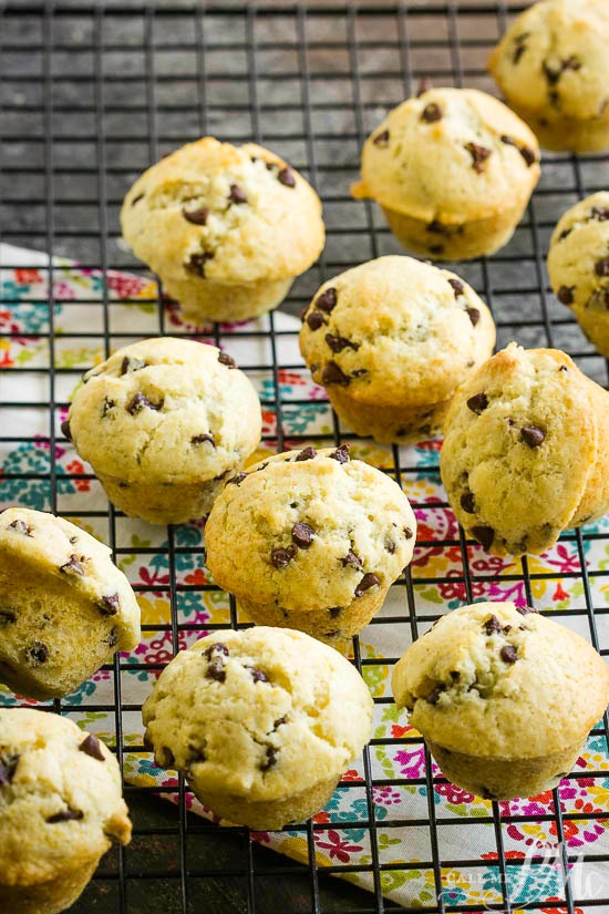Homemade muffins with chocolate Chips