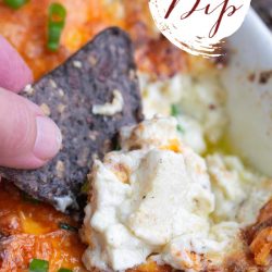 A person is enjoying some chicken dip by dipping a tortilla into it.