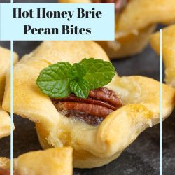 Hot Honey Brie Pecan Bites buttery crescent roll dough is filled with brie, pecans, and drizzled with spicy honey. These make a wonderful slightly sweet appetizer. #pecan #brie #crescentrolls #appetizer #party