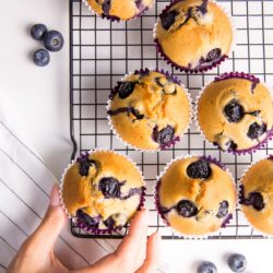 QUICK BLUEBERRY MUFFINS