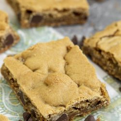 Chocolate Chip Pan Cookies