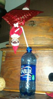 Elf on the shelf hydrating