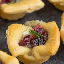 Bakes Cranberry Brie Bites