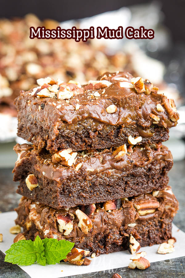 Chocolate cake topped wih marshmallows, chocolate ganache and pecans Mississippi Mud Cake