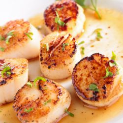 SEARED SCALLOPS