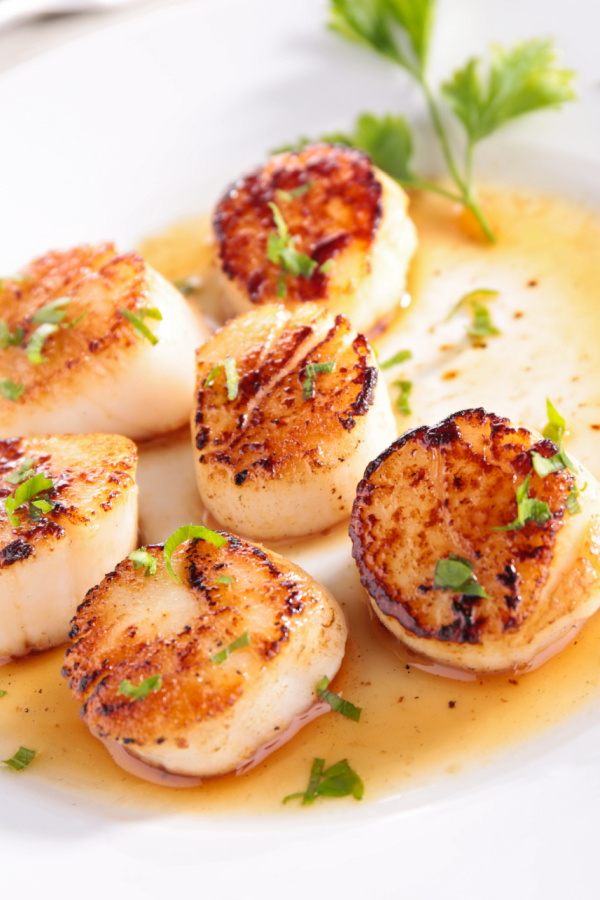 SEARED SCALLOPS in a sauce on a white plate