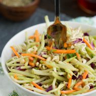 This Broccoli Salad Recipe will be your favorite healthy staple for cookouts, potlucks, tailgates, and pool parties this summer. You name it and this salad is a great salad to take.