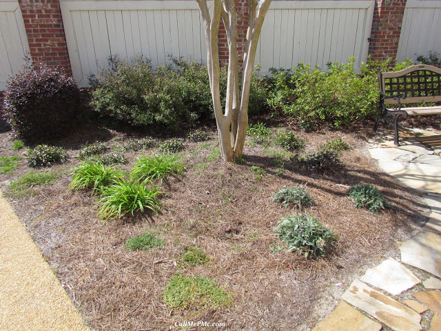Courtyard at my house with small plants. The Garden Club at Home Depot Spring Projects