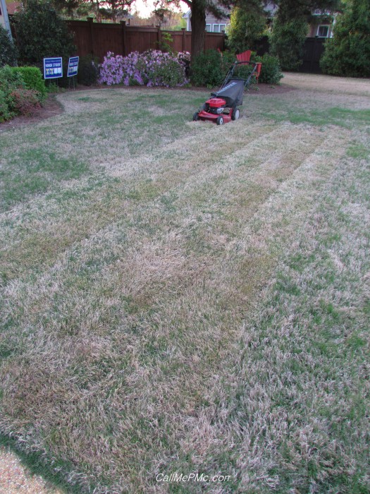 mowing