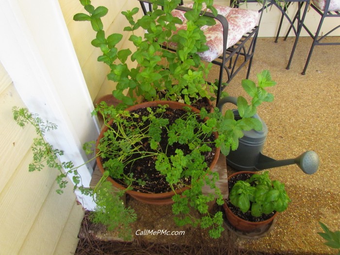 Organic Pesticide and Vegetable Wash, this homemade spray provides a safer and more economical way to wash produce and prevent herbs from having bugs. Herbs in pots.