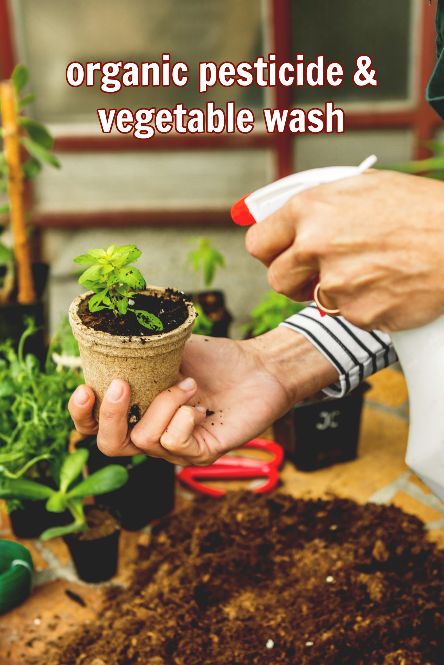 Organic Pesticide and Vegetable Wash is a multi-purpose solution designed to effectively protect your crops from pests while also ensuring the cleanliness of your vegetables. It is made with natural ingredients, minimizing the use
