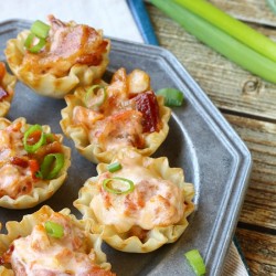 Bacon Rotel Cheese Appetizer Cups