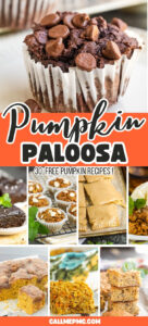 Collage of pumpkin desserts, including muffins, brownies, pie, bars, and other baked goods, with the text: “The Great Pumpkin Palooza – 30 Free Pumpkin Recipes! CALLMEPMC.COM”.