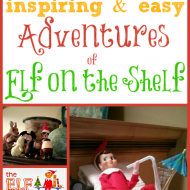 500+ Adventures of Elf on the Shelf