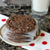 plate of chocolate cookies with peppermint chips.