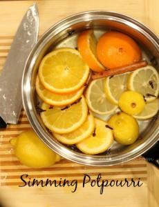 Simmering Potpourri