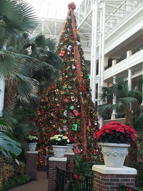 Gaylord Opryland Resort