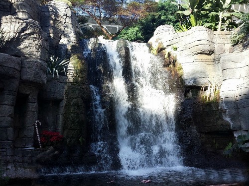 waterfall Gaylord Opryland Resort