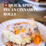 A quick-rise yeast dough makes these Quick Apricot Pecan Cinnamon Rolls a mouth-watering breakfast treat. #yeast #bread #cinnamon #cinnamonrolls #Cinnabon #breakfast