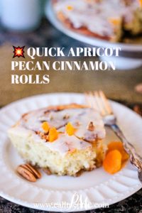 pecan cinnamon roll with apricot filling