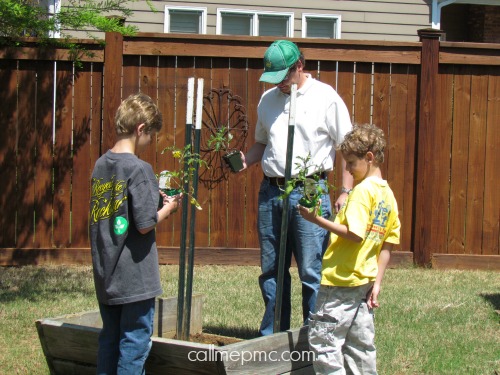 How Does Your Garden Grow? #GroSomethingGreater Wesley, Lincoln, and Ryder