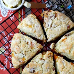 Apricot Pecan Scones