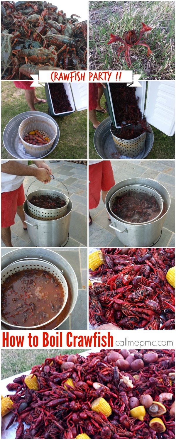 Cajun Crawfish Party | How to Boil Crawfish Crawfish Party