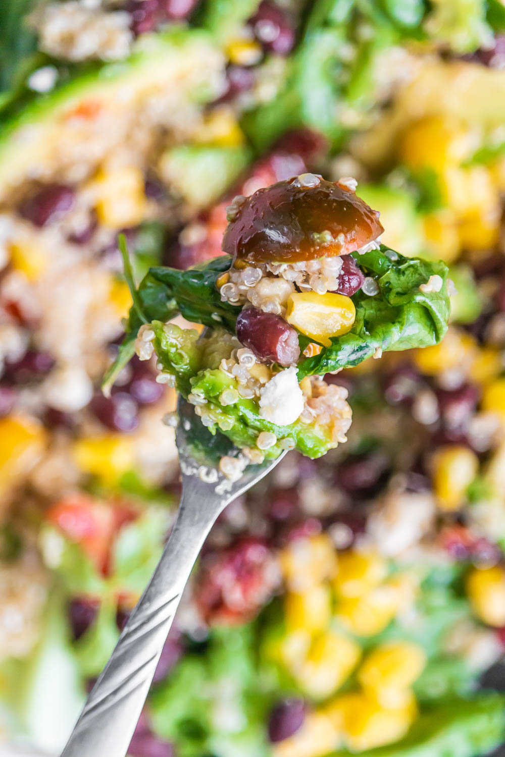 Black Bean Tomato Quinoa Salad