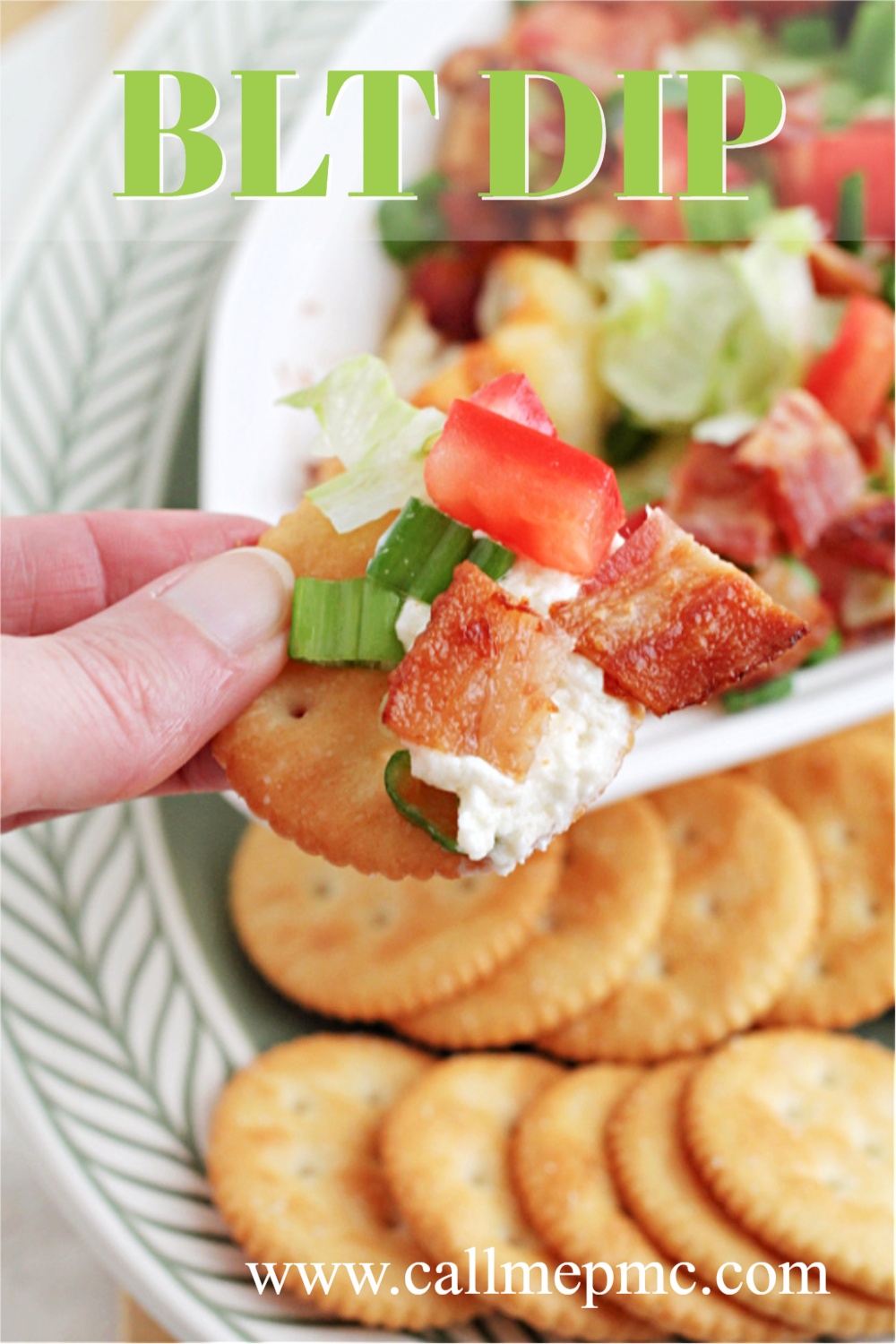 bacon lettuce and tomato on a cracker BLT Dip is quick, easy, tasty, & the perfect appetizer. This creamy dip, served hot or cold, is filled with bacon, tomatoes, & green onions.