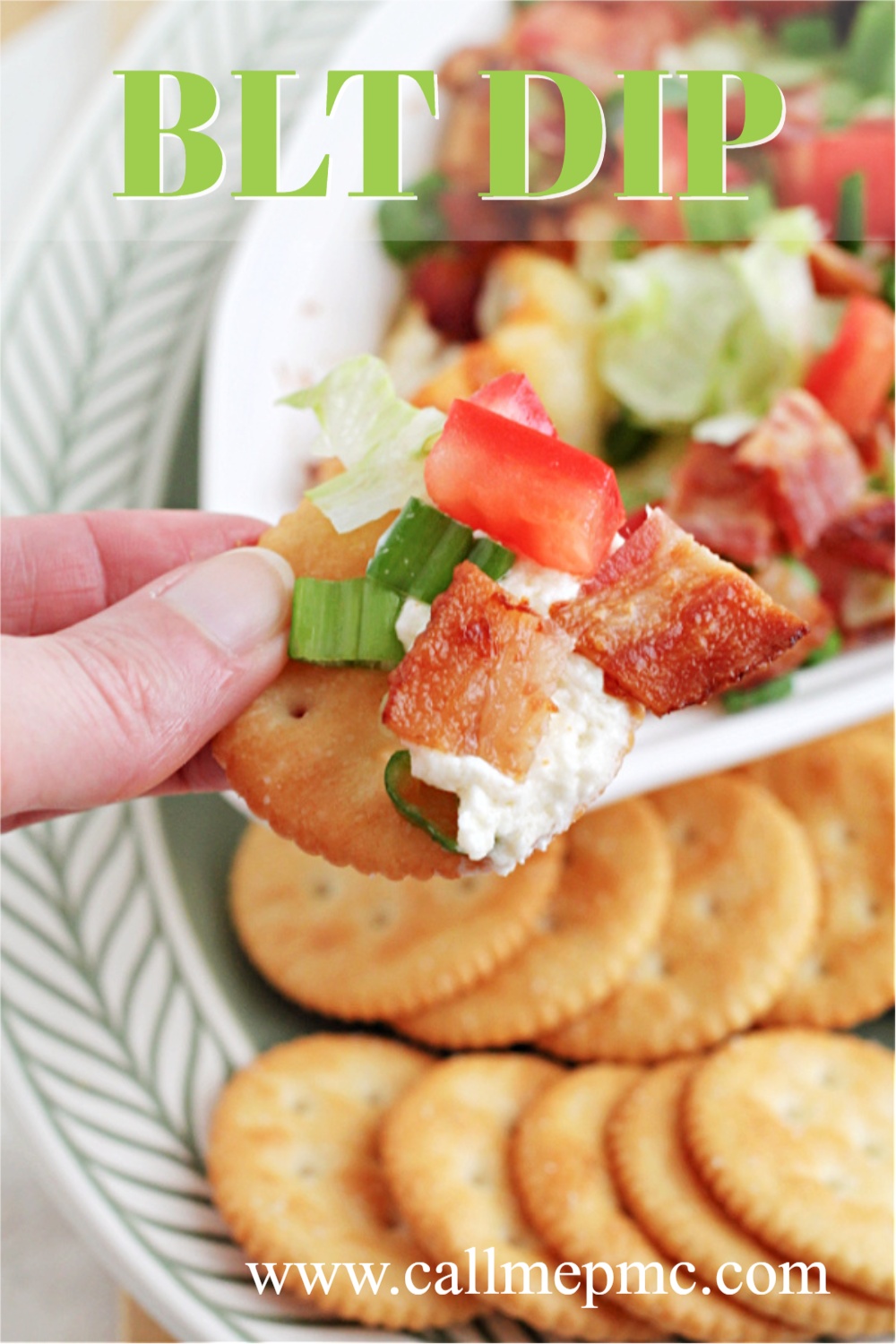 BLT Dip is quick, easy, tasty, & the perfect appetizer. This creamy dip, served hot or cold, is filled with bacon, tomatoes, & green onions.