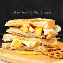grilled turkey peach sandwich