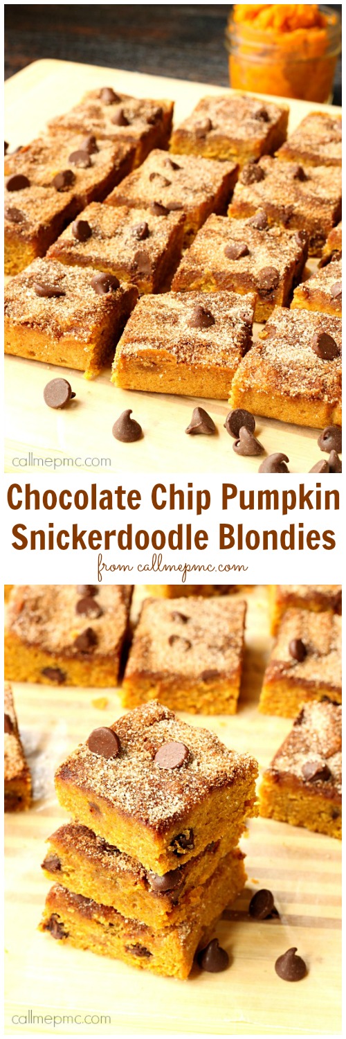 Chocolate Chip Pumpkin Snickerdoodle Blondies