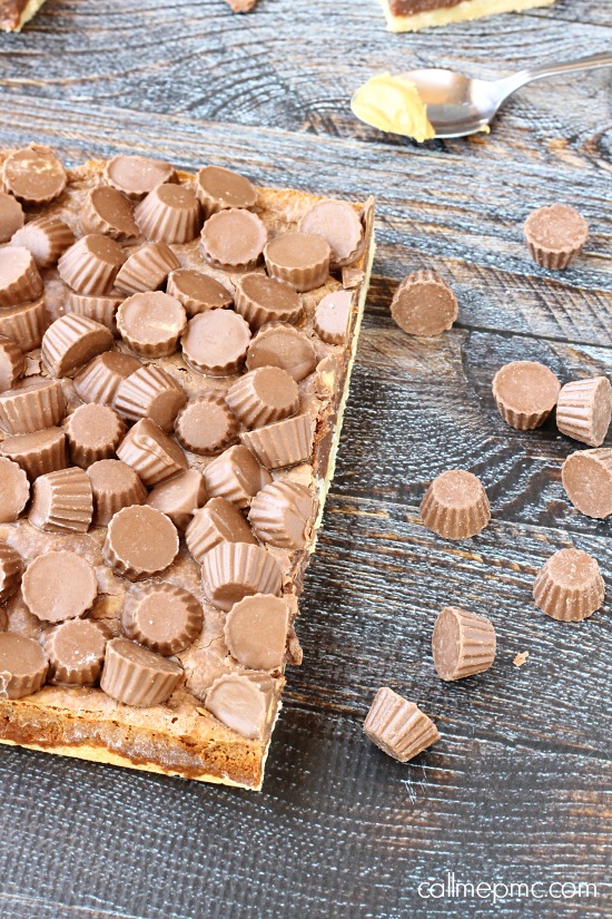 Chocolate Peanut Butter Shortbread Bars 