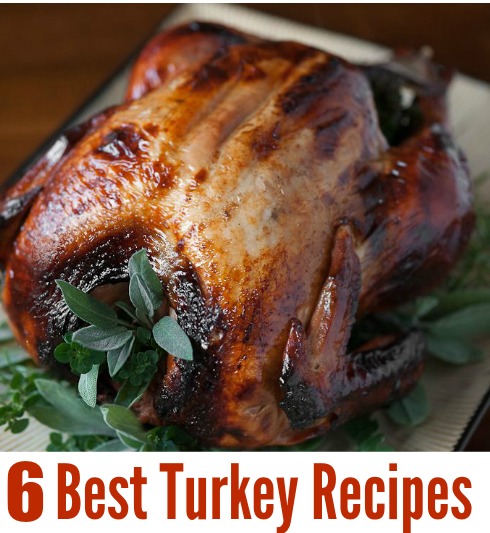 6 BEST TURKEY RECIPES