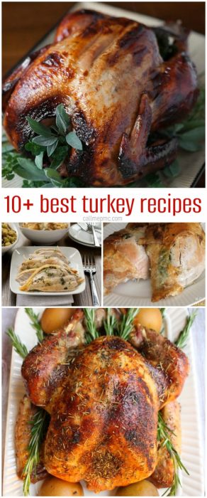 A collage of cooked turkey dishes, featuring roasted whole turkeys and sliced turkey with herbs, showcases the text "10+ Best Turkey Recipes.