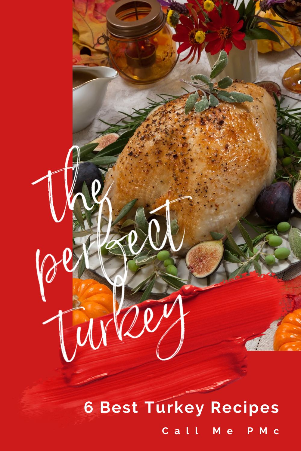 6 Best Turkey Recipes - Terrific Turkey Recipes to share with you that will help you roasting of your turkey.