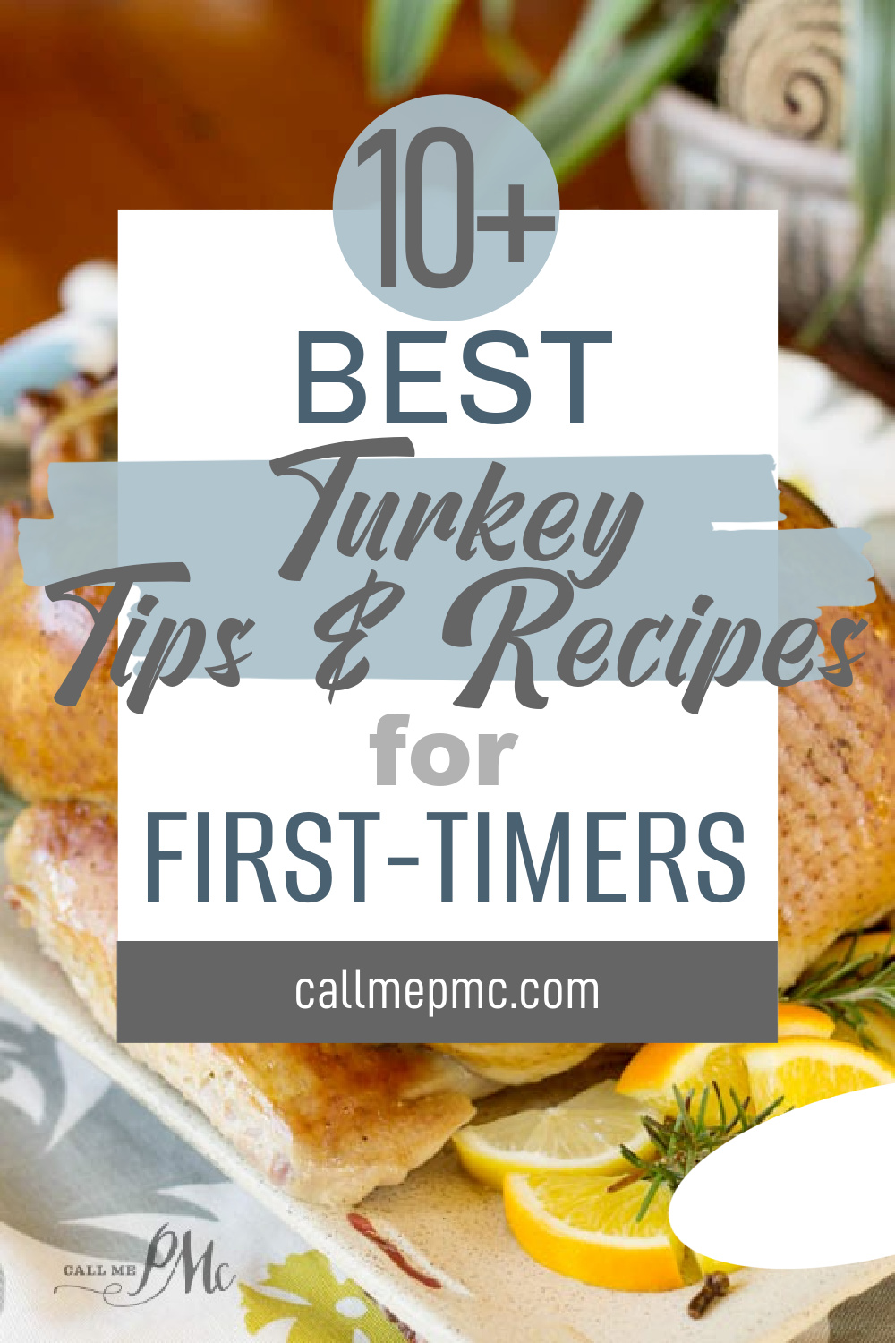 A sign displays "10+ Best Turkey Tips & Best Turkey Recipes for First-Timers" with a cooked turkey, lemon slices, and herbs in the background.