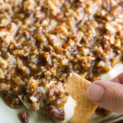 French Quarter Pecan Cheese Spread Recipe - This is one of the best snack spreads I've ever had. It's always gone in minutes when I take it to a party.