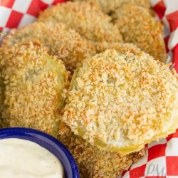 Panko Crusted Baked Fried Green Tomatoes with Lulus Wow Sauc