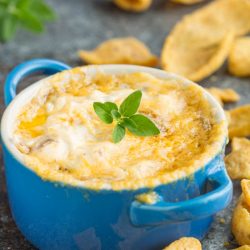 Caramelized Vidalia Onion Dip Recipe