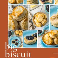 BIG BISCUIT RECIPE COLLECTION