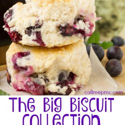 The Big Biscuit Recipe Collection