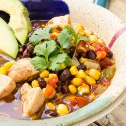 Healthy Slow Cooker Tex Mex Chicken Soup