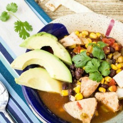 Healthy Slow Cooker Tex Mex Chicken Soup