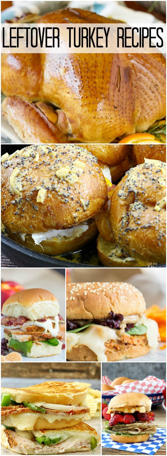How to Enjoy Leftover Turkey - over 10 recipes! How to Enjoy Leftover Turkey - over 10 recipes!